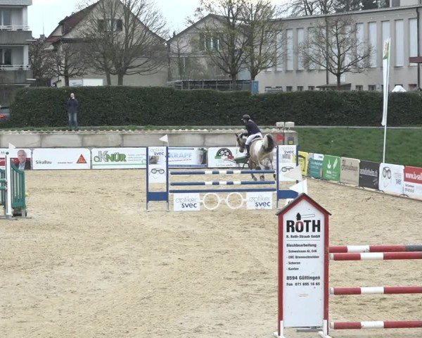 Reitturnier Amriswil 2024