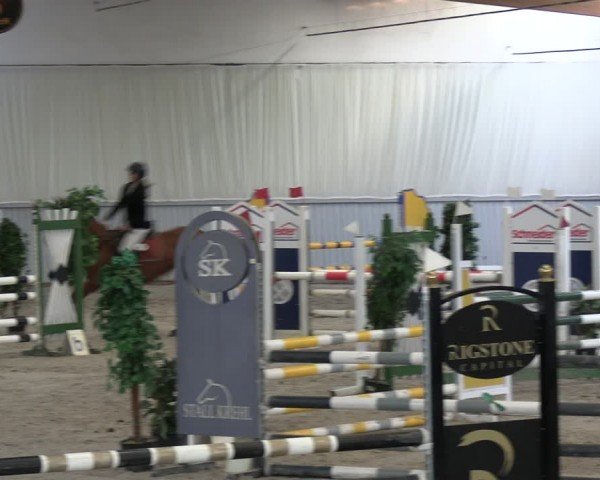 Reitturnier Lentzke - Reitanlage Krehl 2024