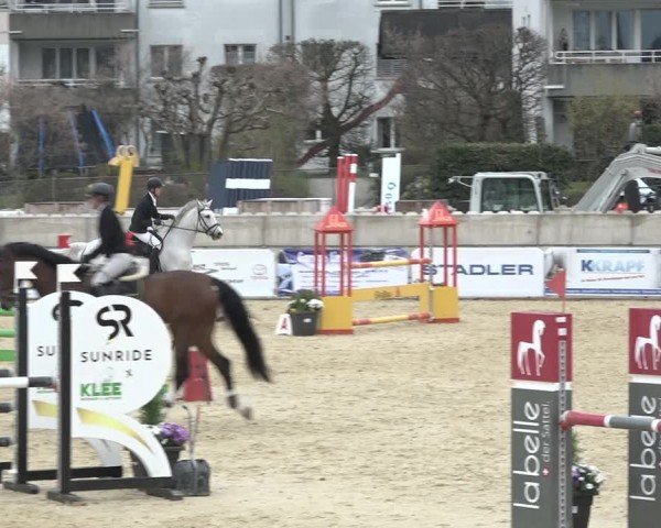 Reitturnier Amriswil 2024