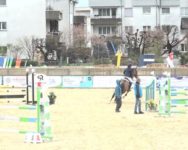 Reitturnier Amriswil 2024