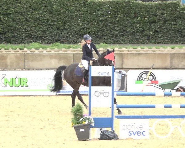 Reitturnier Amriswil 2024