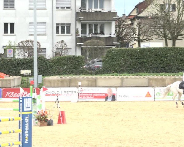 Reitturnier Amriswil 2024