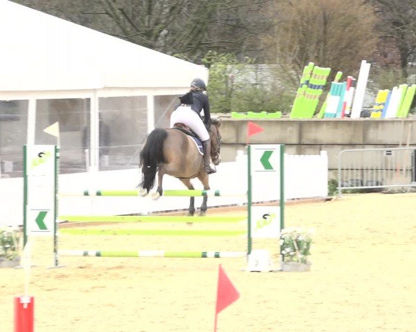 Reitturnier Amriswil 2024