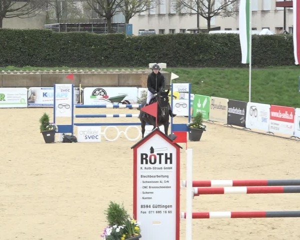 Reitturnier Amriswil 2024