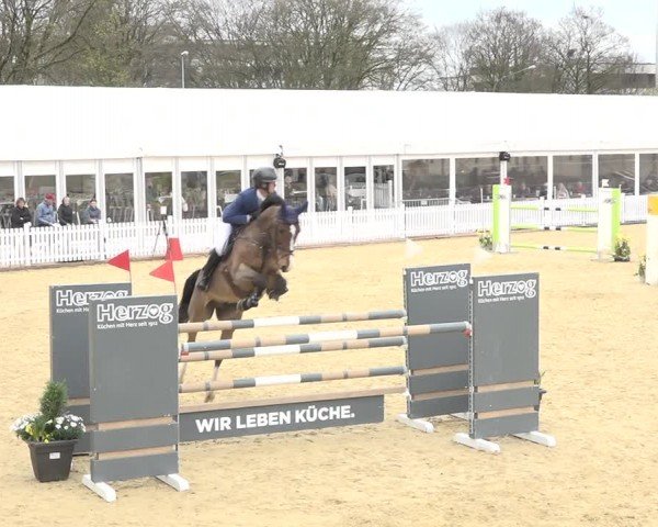 Reitturnier Amriswil 2024