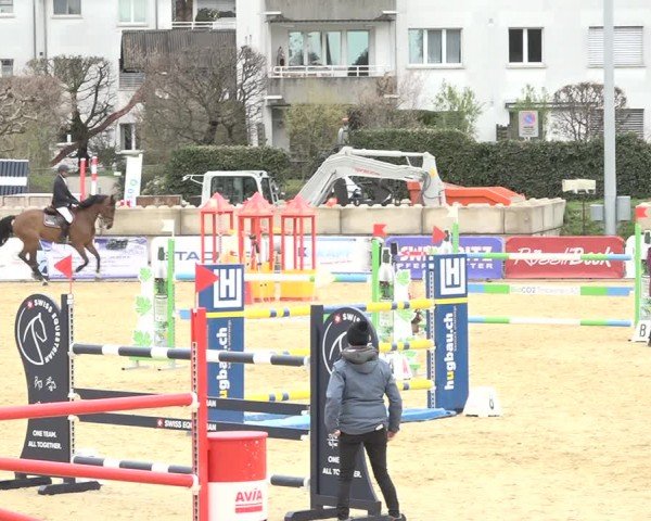 Reitturnier Amriswil 2024