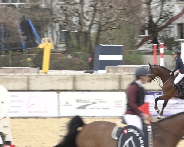 Reitturnier Amriswil 2024