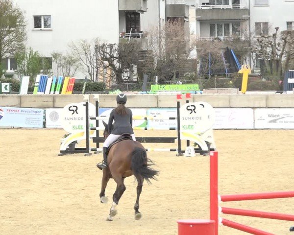Reitturnier Amriswil 2024