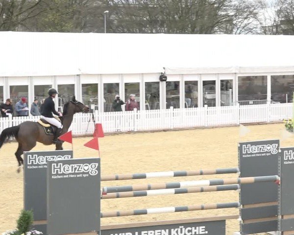 Reitturnier Amriswil 2024