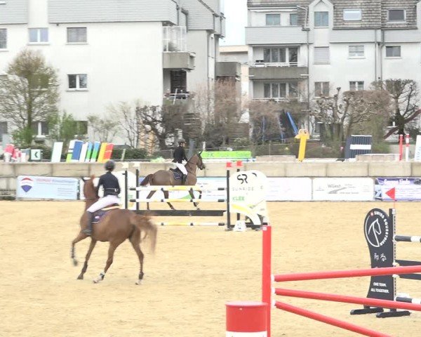 Reitturnier Amriswil 2024