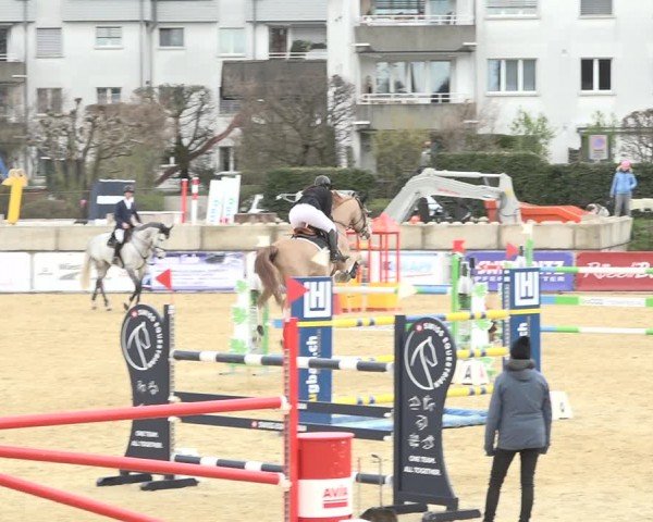 Reitturnier Amriswil 2024