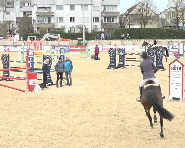 Reitturnier Amriswil 2024