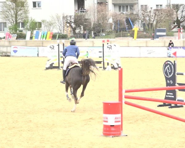 Reitturnier Amriswil 2024