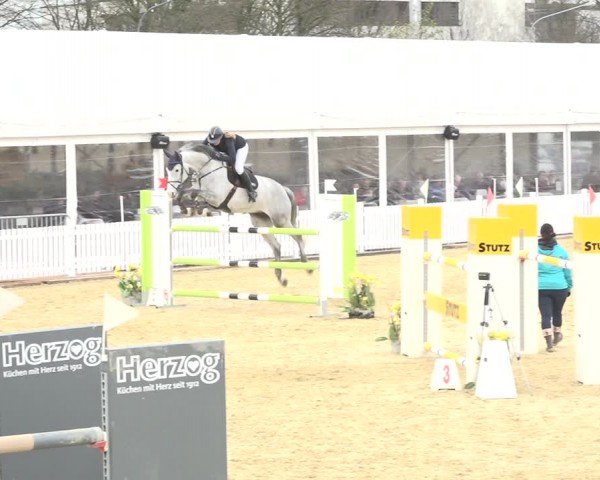 Reitturnier Amriswil 2024
