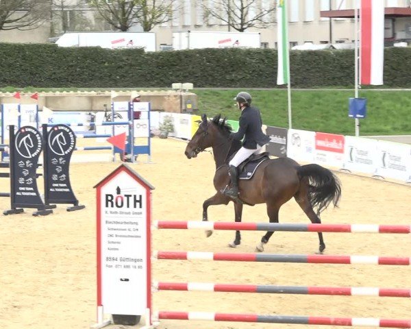 Reitturnier Amriswil 2024