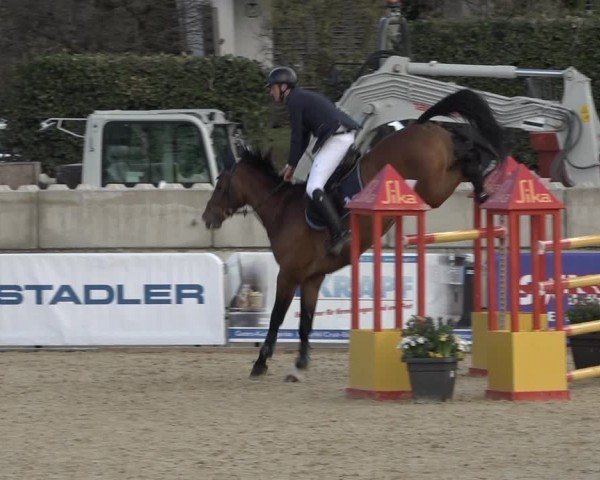 Reitturnier Amriswil 2024