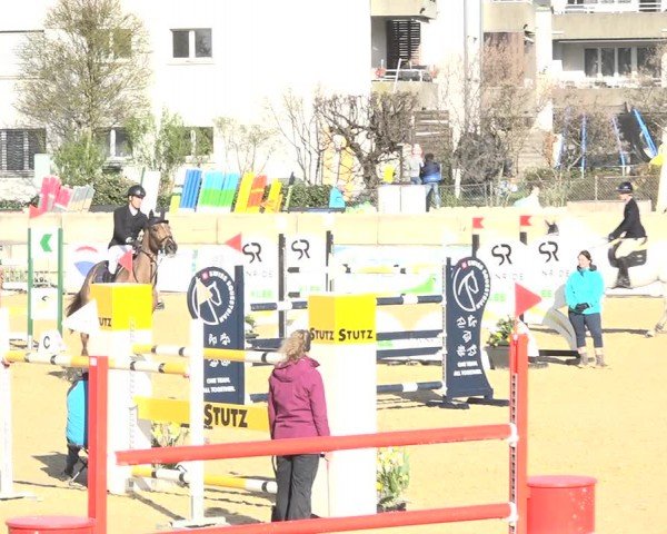 Reitturnier Amriswil 2024