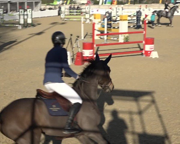 Reitturnier Amriswil 2024
