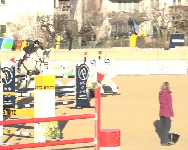 Reitturnier Amriswil 2024