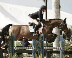 jumper Caretta Il Palazzetto (Italian Warmblood, 2011, from Calvaro Z)
