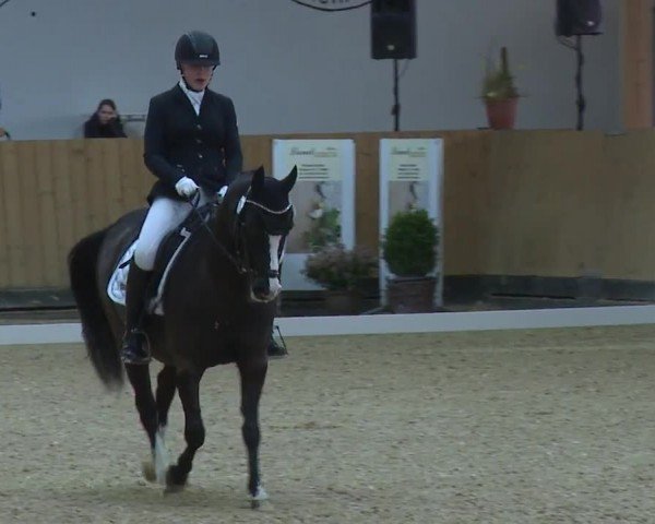 Reitturnier Grafenrheinfeld/Ufr. 2024