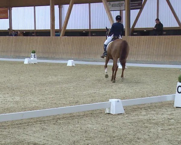 Reitturnier Grafenrheinfeld/Ufr. 2024