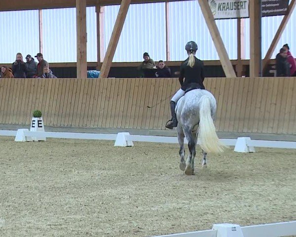 Reitturnier Grafenrheinfeld/Ufr. 2024