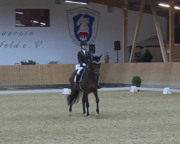 Reitturnier Grafenrheinfeld/Ufr. 2024