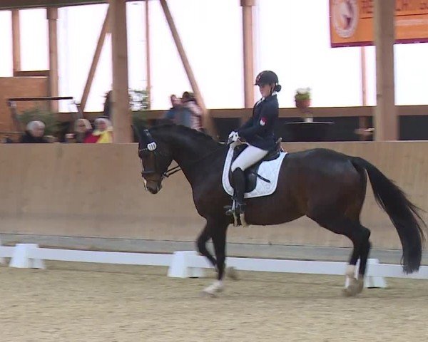 Reitturnier Grafenrheinfeld/Ufr. 2024