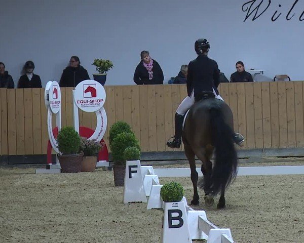 Reitturnier Grafenrheinfeld/Ufr. 2024