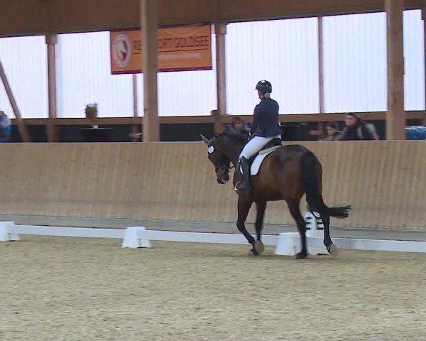 Reitturnier Grafenrheinfeld/Ufr. 2024