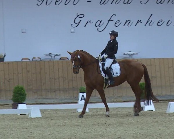 Reitturnier Grafenrheinfeld/Ufr. 2024