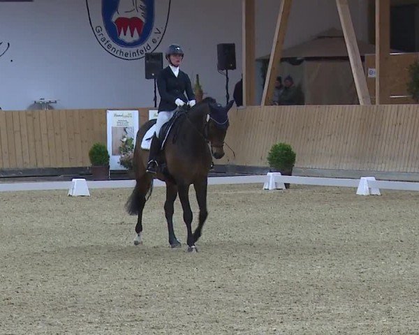 Reitturnier Grafenrheinfeld/Ufr. 2024