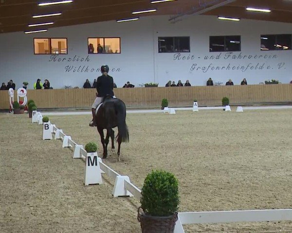 Reitturnier Grafenrheinfeld/Ufr. 2024