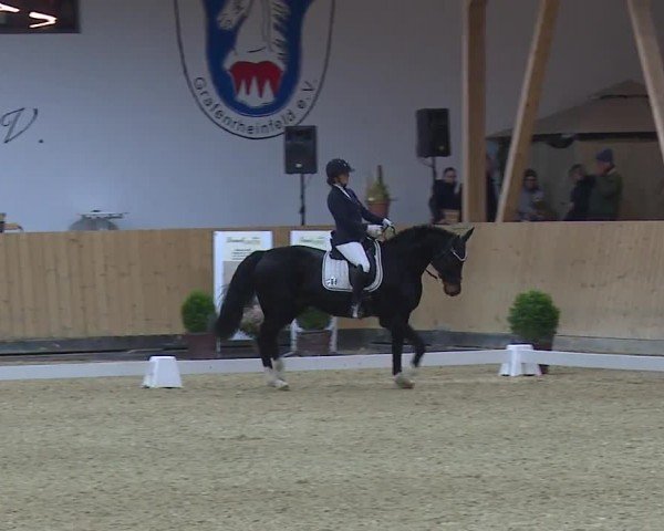 Reitturnier Grafenrheinfeld/Ufr. 2024