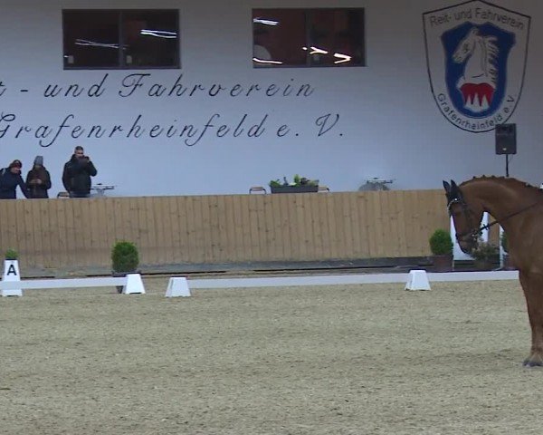 Reitturnier Grafenrheinfeld/Ufr. 2024