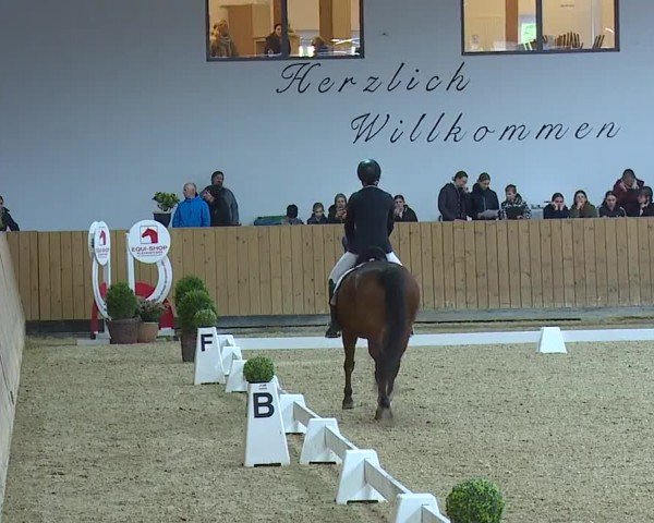 Reitturnier Grafenrheinfeld/Ufr. 2024