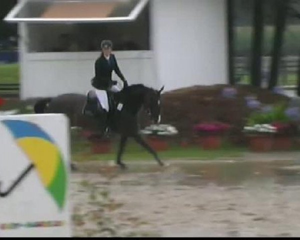Waltrop 2011