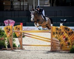 jumper Ekilly van de Horst (KWPN (Royal Dutch Sporthorse), 2009, from Berlin)