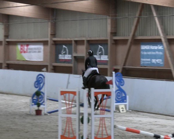 Reitturnier Lentzke - Reitanlage Krehl 2024
