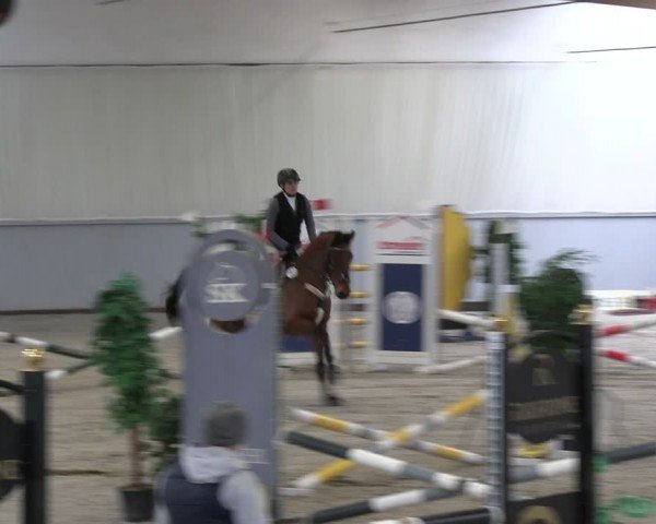 Reitturnier Lentzke - Reitanlage Krehl 2024