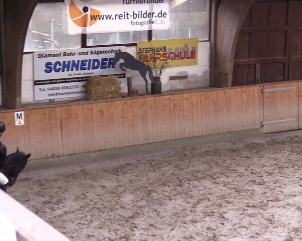 Reitturnier Leck 2024