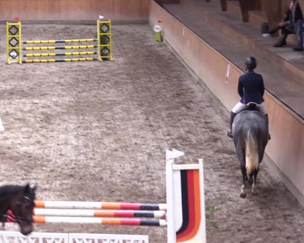 Reitturnier Leck 2024