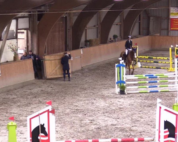 Reitturnier Leck 2024