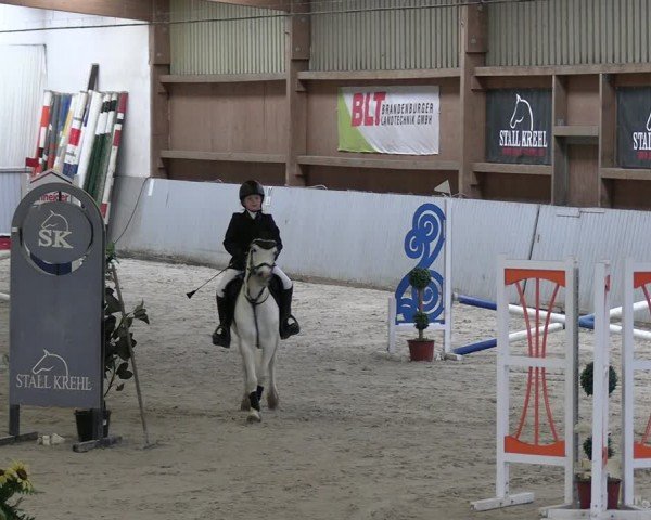 Reitturnier Lentzke - Reitanlage Krehl 2024