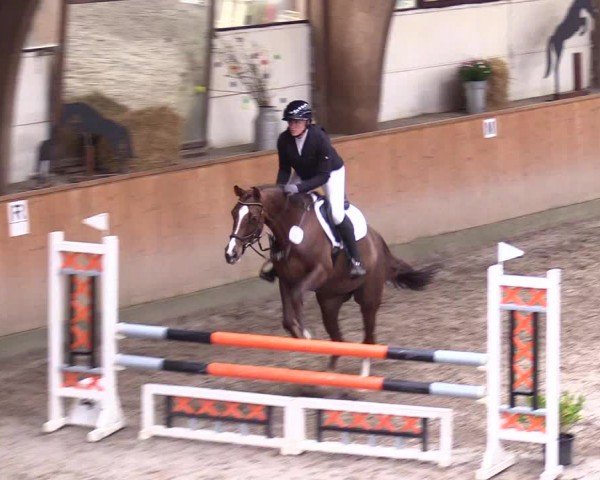 Reitturnier Leck 2024