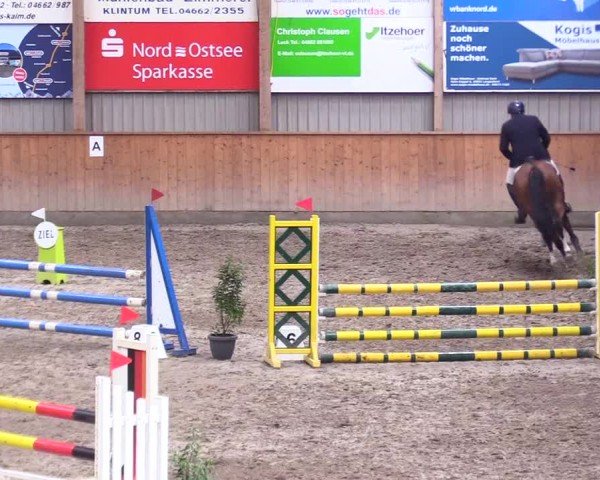 Reitturnier Leck 2024