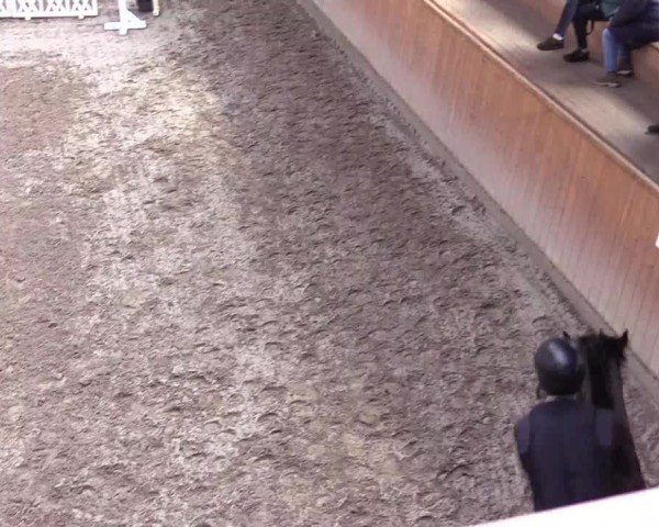 Reitturnier Leck 2024