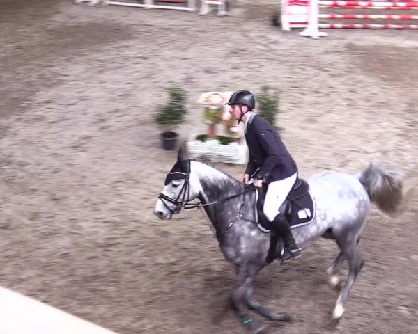 Reitturnier Leck 2024