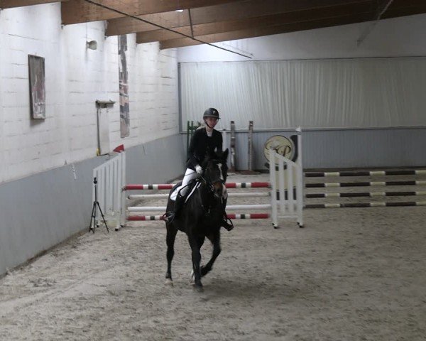 Reitturnier Lentzke - Reitanlage Krehl 2024
